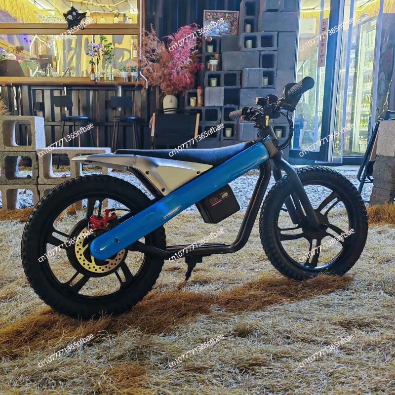 Bicicletta elettrica per bambi - Balance Bike Kids recensione e prezzo