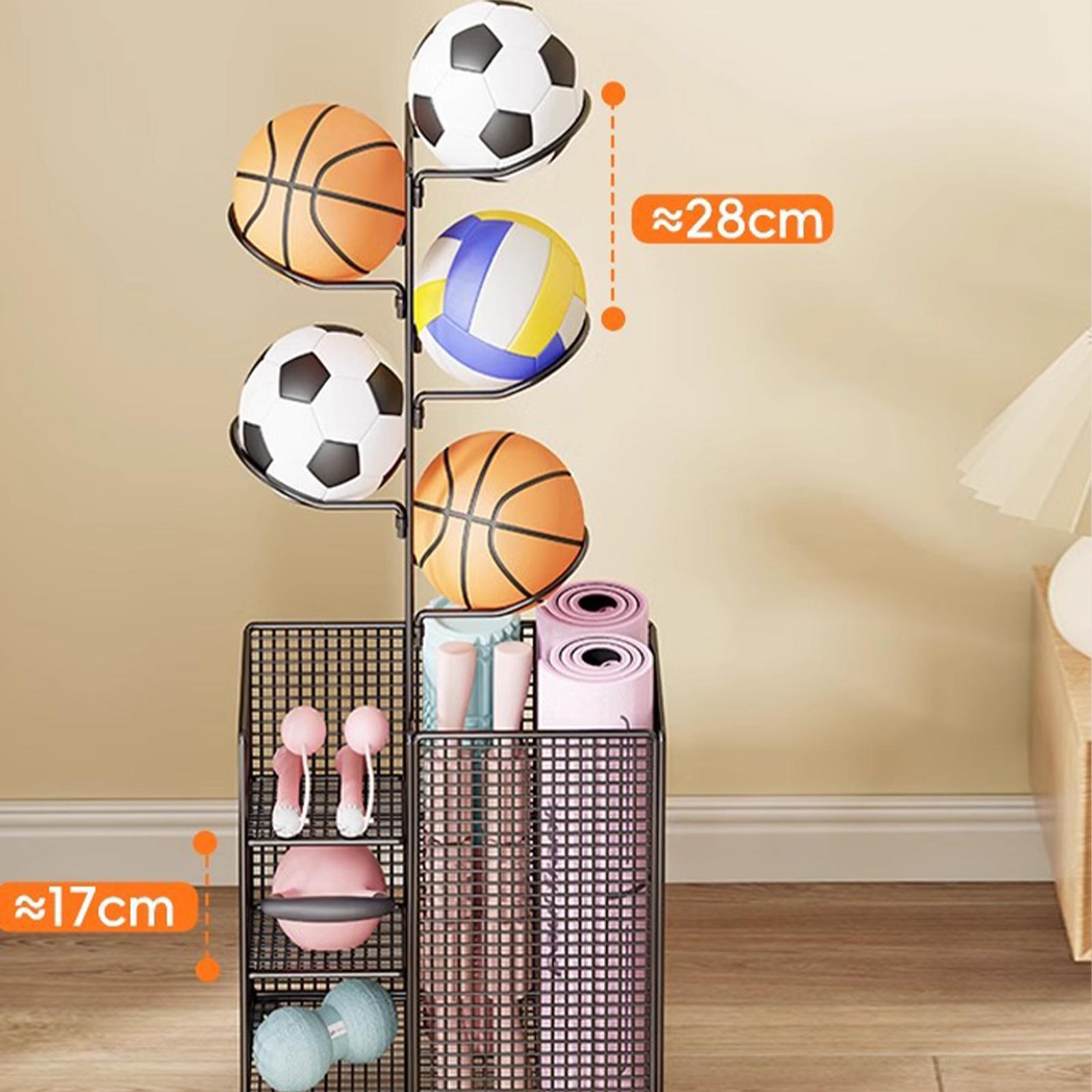 Porta Palloni da Basket Vertic - Sports Equipment And Facilities recensione e prezzo